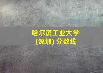 哈尔滨工业大学(深圳) 分数线